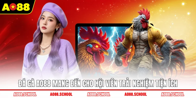 Đá gà AO88 mang đến cho hội viên trải nghiệm tiện ích